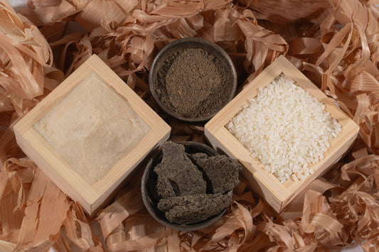 九州大学の清水先生に学ぶ「自然素材の可能性とサステナブル社会」：椿の種ってやっぱりすごい