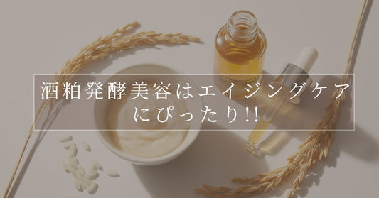 酒粕発酵美容がエイジングケアに向いている理由