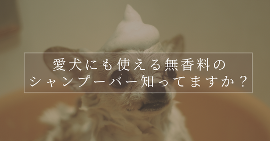 愛犬にも使える無香料オールインワンシャンプーって知ってますか？