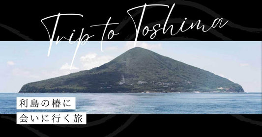 利島（としま）の椿に会いに行く旅